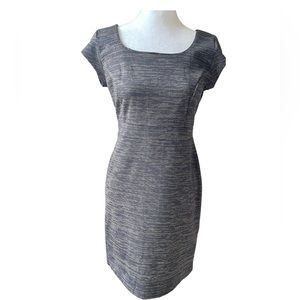 Women’s Size XS Metal Gray With Gold Stripe Sheath Dress By Attention